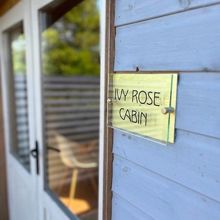 Ivy Rose Cabin No Hot Tub بود المظهر الخارجي الصورة